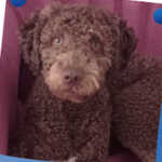 Captura de pantalla 2025 10 15 a las 10.28.43 p. m