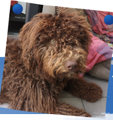 Captura de pantalla 2025 10 15 a las 10.33.25 p. m