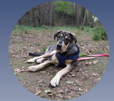 Captura de pantalla 2025 10 15 a las 10.34.04 p. m